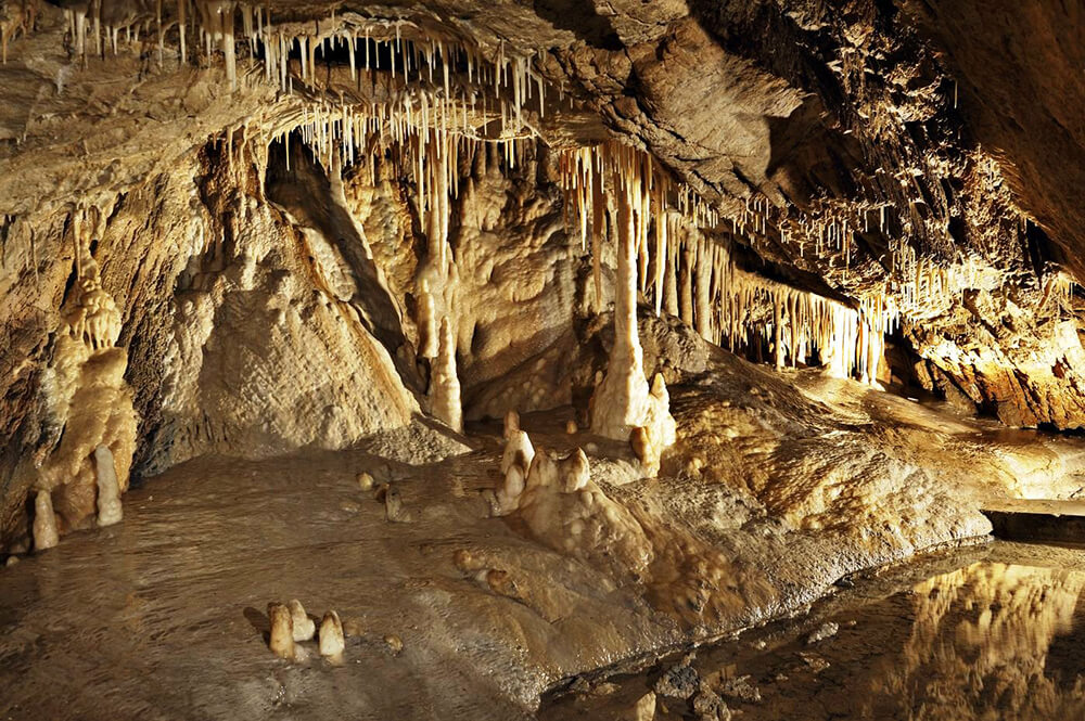 jaskinia niedzwiedzia sala palacowa, jaskinia kletno zwiedzanie